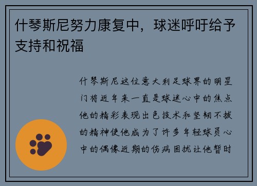 什琴斯尼努力康复中,球迷呼吁给予支持和祝福 什琴斯尼努力康复中,球迷呼吁给予支持和祝福